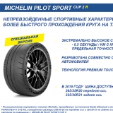 Літні шини Michelin Pilot Sport CUP 2 R