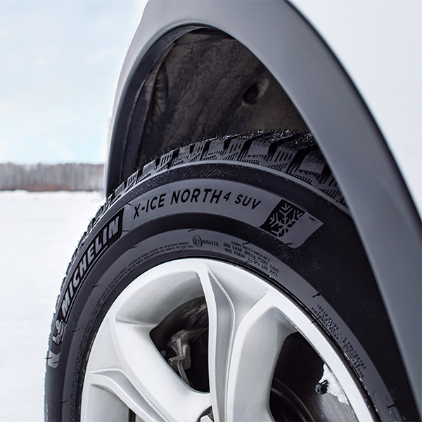 Зимние шины Michelin X-Ice North 4 Suv 255/50 R19 107T XL  шип