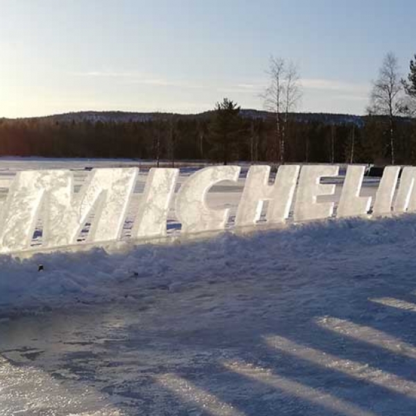 Зимові шини Michelin X-Ice Snow SUV 265/60 R18 110T 